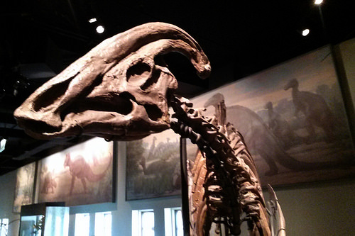 パラサウロロフス 化石