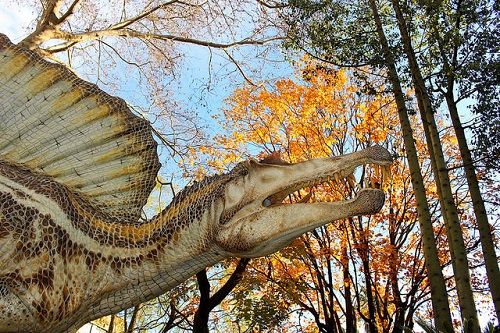 スピノサウルス 歯 化石 値段