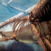 モササウルス シャチ 骨格