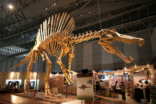 スピノサウルス 化石 値段 