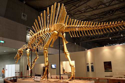 スピノサウルス 化石 展示