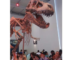 タルボサウルス 恐竜