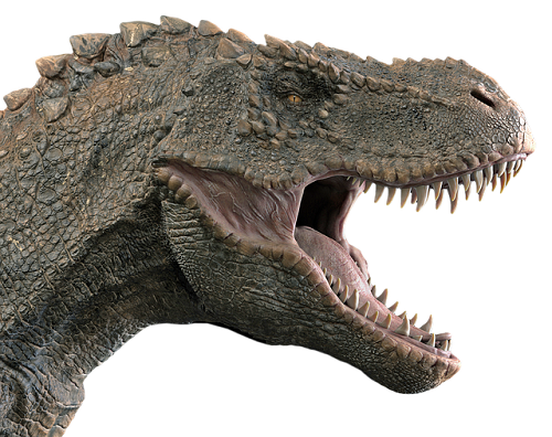 ティラノサウルス tレックス 違い