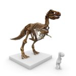 ティラノサウルスの足跡の大きさや特徴とは！？