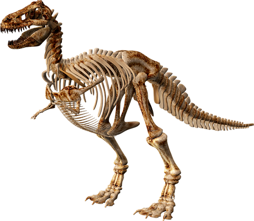  ティラノサウルス 前足 指