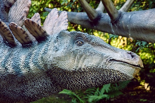 ステゴサウルス 脳 大きさ