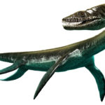 プレシオサウルスの歯の化石について。販売価格はどれくらい？