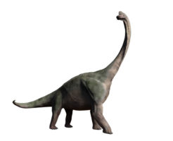 ブラキオサウルス 化石