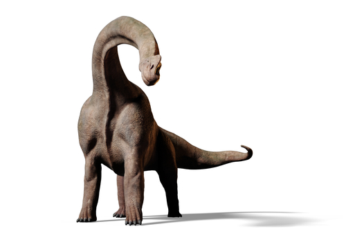 ブラキオサウルス アパトサウルス 違い 