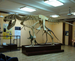 タルボサウルス ティラノサウルス 違い