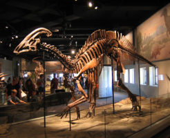 パラサウロロフス 恐竜 草食　