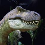 ティラノサウルスの生息地や分布について