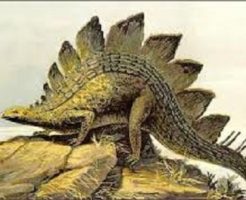 ステゴサウルス 恐竜 草食　