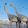 ブラキオサウルス  ブロントサウルス　違い