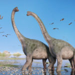 ブラキオサウルスとブロントサウルスの違いについて