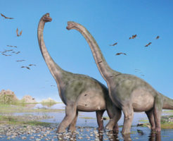 ブラキオサウルス  ブロントサウルス　違い