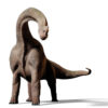 ブラキオサウルス アパトサウルス 違い