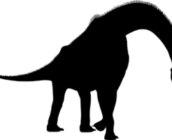 ブラキオサウルス 大きさ