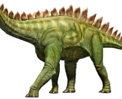 ステゴサウルス 名前 由来 意味